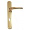 O.L.V. placca mm 8x70